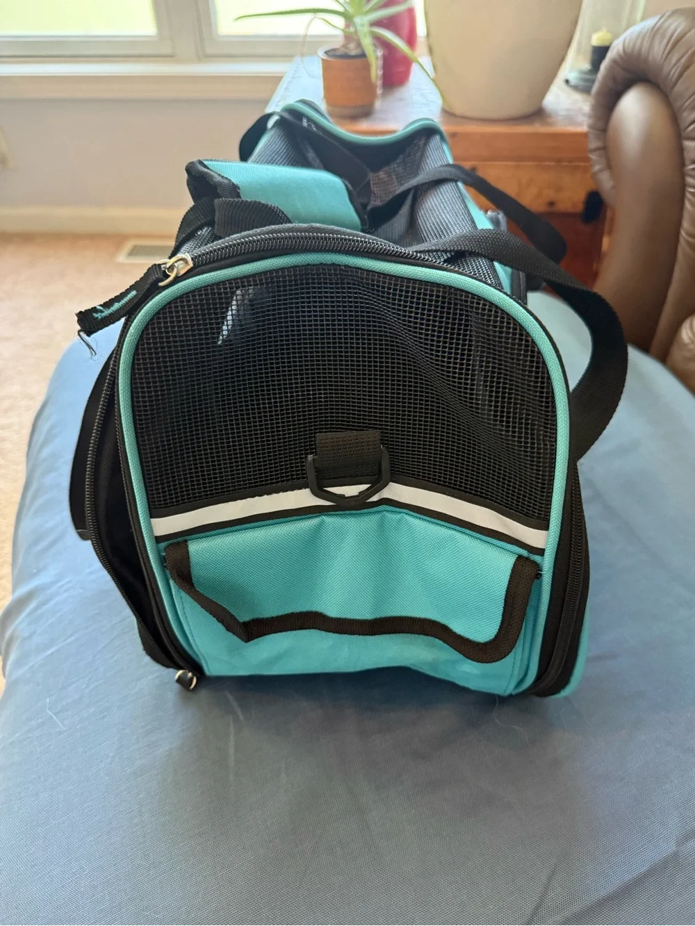 Teal Pet Carrier Bag